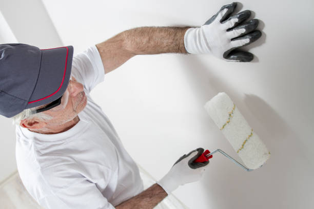 Best Attic Mold Removal  in Shady Point, OK