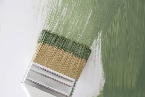 Best Dehumidification Services  in Shady Point, OK