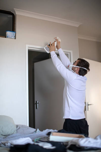 Best Mold Removal for HVAC Installations  in Shady Point, OK