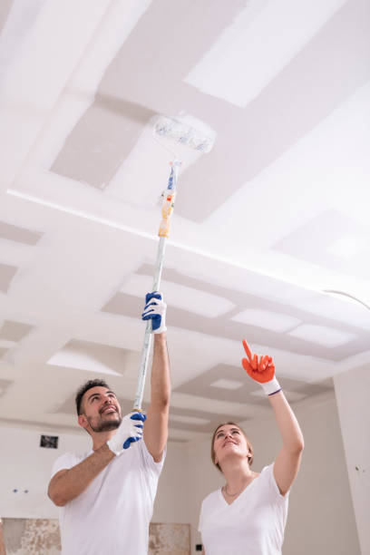Trusted Shady Point, OK Mold Removal Experts