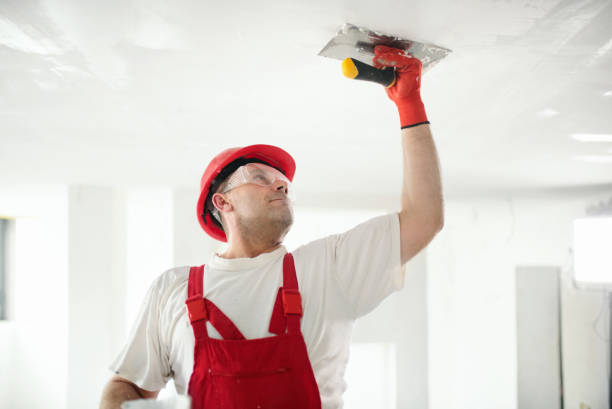 Best Black Mold Removal  in Shady Point, OK