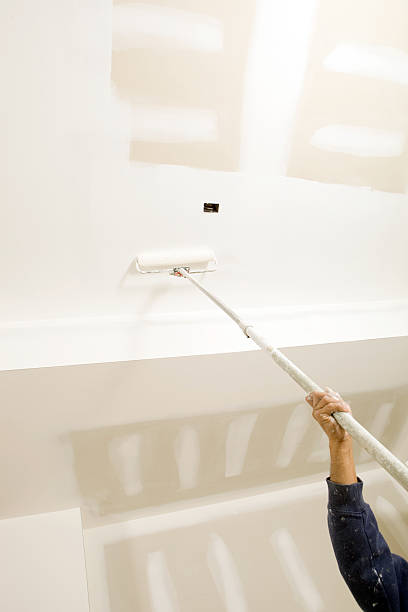 Best Mold Odor Removal Services  in Shady Point, OK