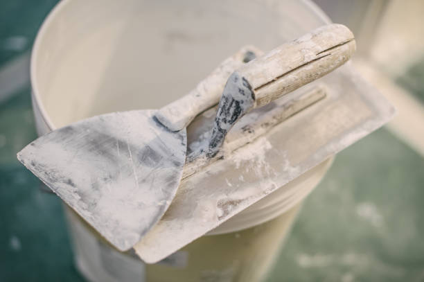 Best Basement Mold Removal  in Shady Point, OK