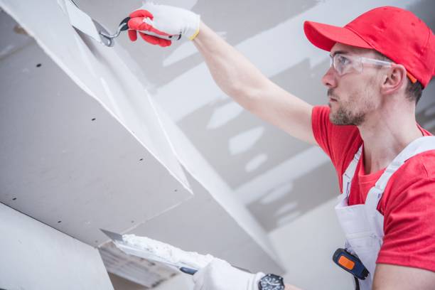 Best Forensic Mold Investigation  in Shady Point, OK